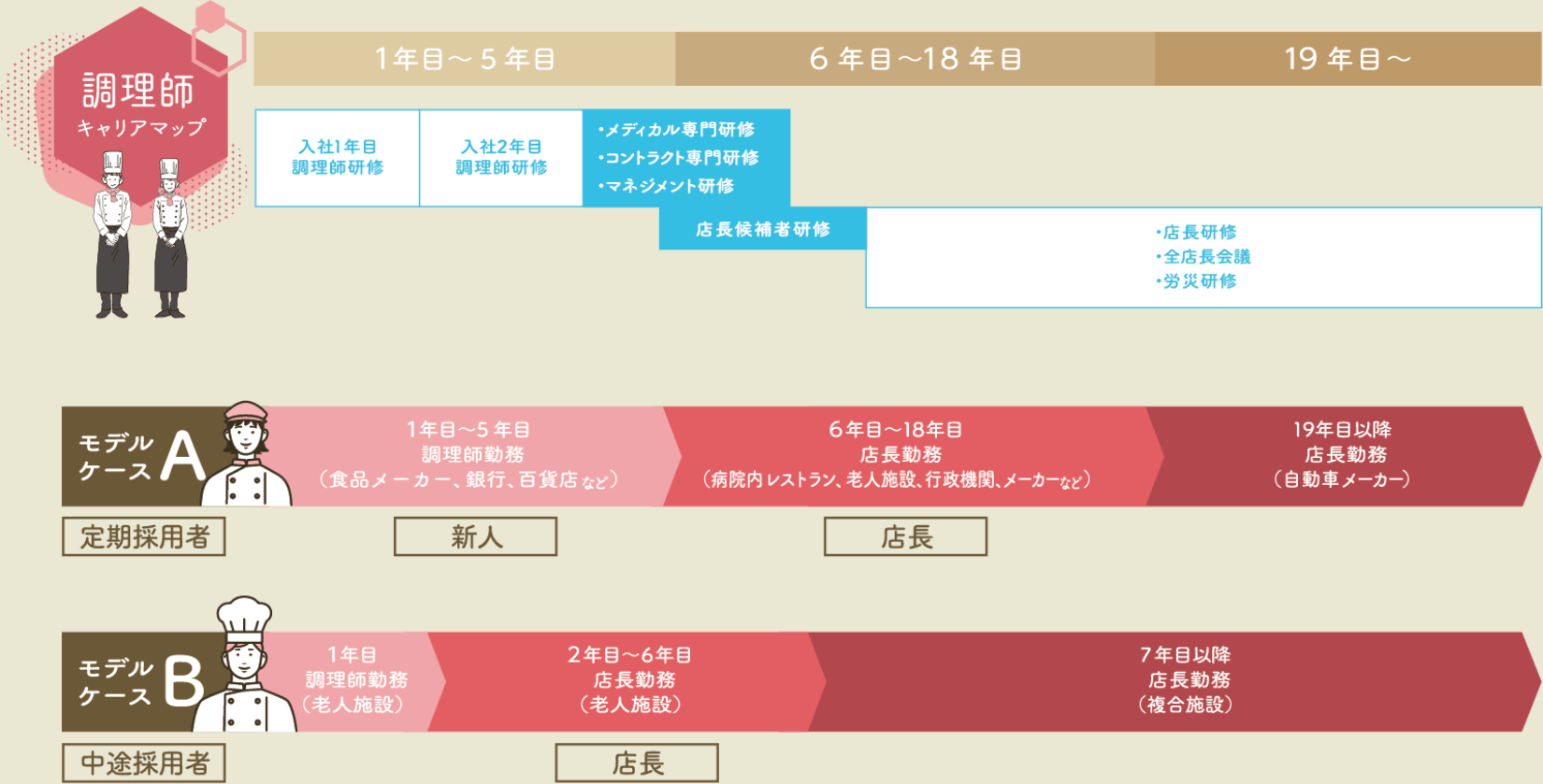 調理師のキャリアモデル