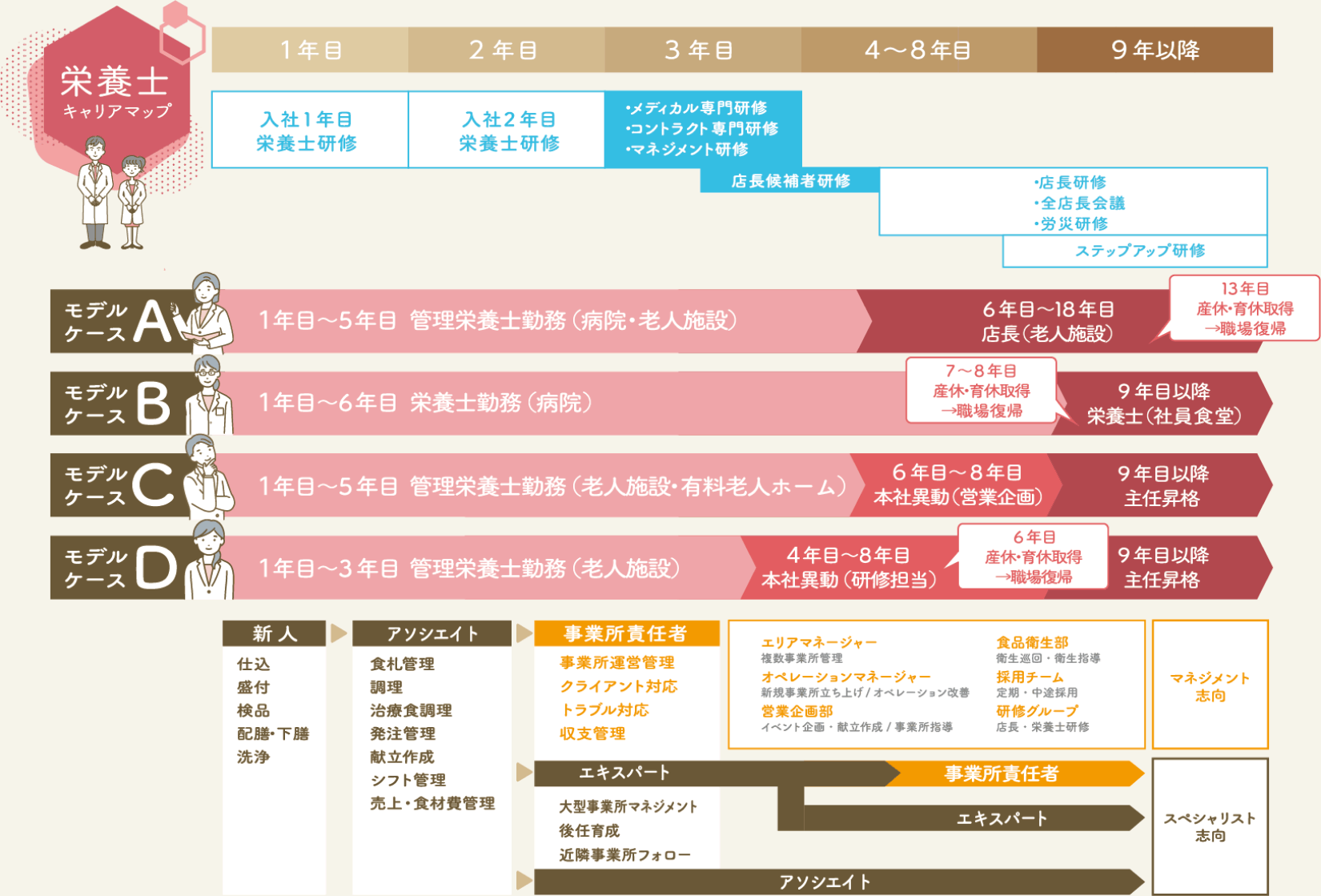 栄養士のキャリアモデル